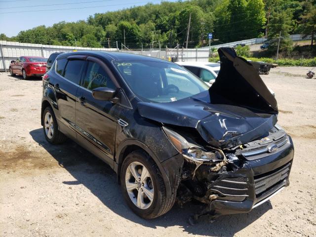 FORD ESCAPE SE 2016 with VIN 1FMCU9G90GUA31550 - Photo from auction
