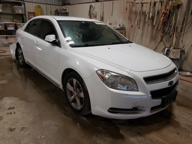 CHEVROLET MALIBU 1LT 2011 with VIN 1G1ZC5E11BF251339 - Photo from auction