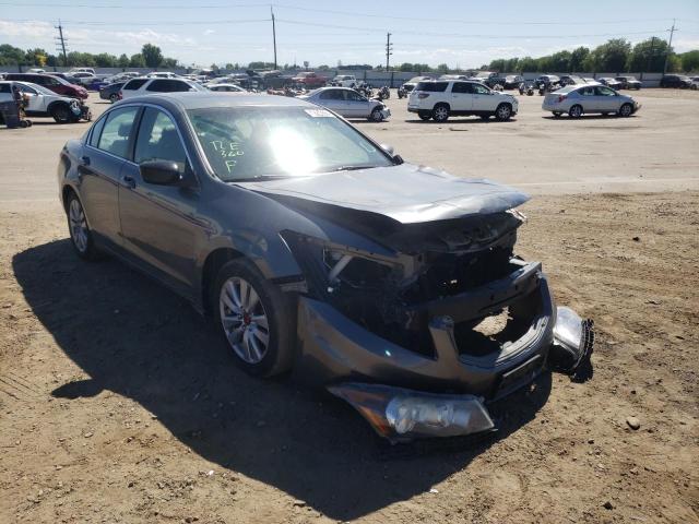 HONDA ACCORD EXL 2011 with VIN 1HGCP2F89BA079216 - Photo from auction