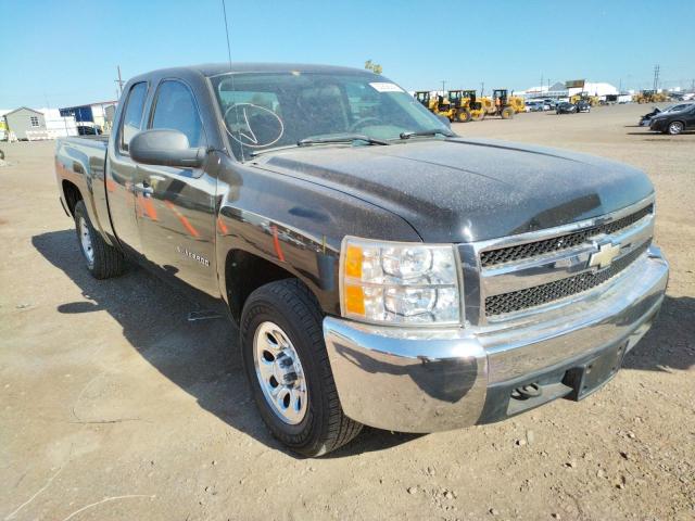 CHEVROLET SILVERADO 2010 with VIN 1GCSCPEX9AZ104062 - Photo from auction