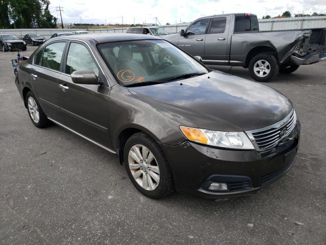 KIA OPTIMA EX 2010 with VIN KNAGH4A84A5439335 - Photo from auction