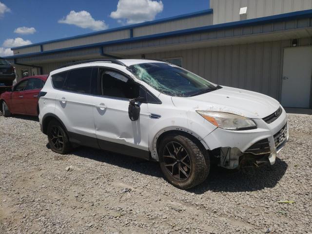 FORD ESCAPE SE 2014 with VIN 1FMCU0GX2EUB76435 - Photo from auction