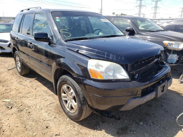 HONDA PILOT EXL 2004 with VIN 2HKYF18564H527394 - Photo from auction