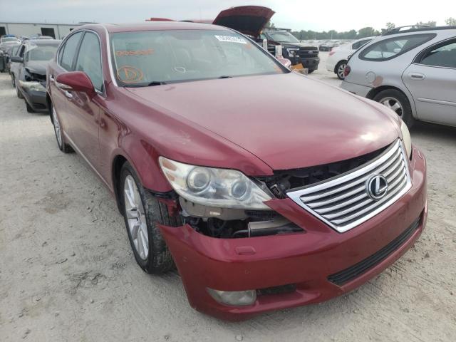 LEXUS LS 460 2010 with VIN JTHCL5EF7A5005035 - Photo from auction