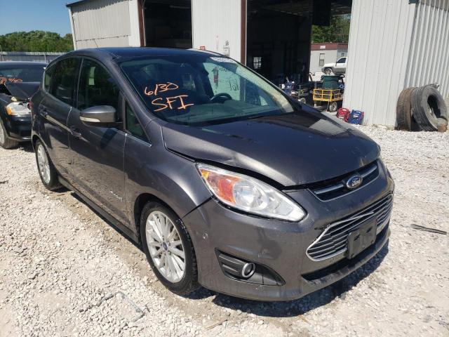 FORD C-MAX SEL 2013 with VIN 1FADP5BU7DL549456 - Photo from auction