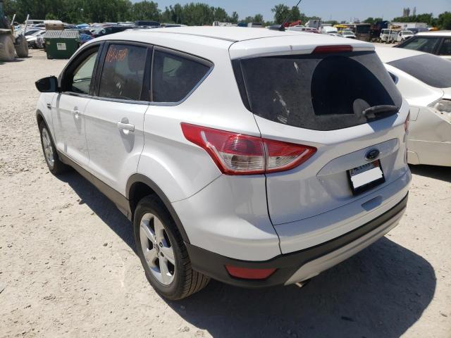 Photo 3 from auction – 2014 FORD ESCAPE SE with VIN 1FMCU9GX3EUC00911