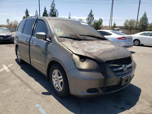 HONDA ODYSSEY EX 2007 with VIN 5FNRL38487B070980 - Photo from auction
