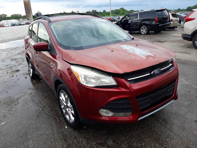 FORD ESCAPE SE 2013 with VIN 1FMCU0GX2DUA28414 - Photo from auction