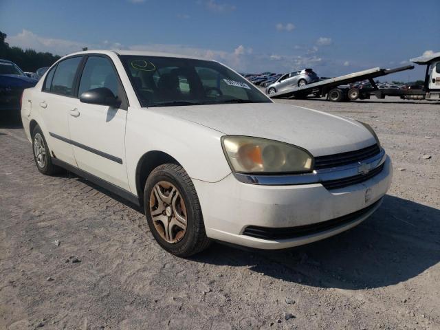 Photo 1 from auction – 2005 CHEVROLET MALIBU with VIN 1G1ZS52F45F111566