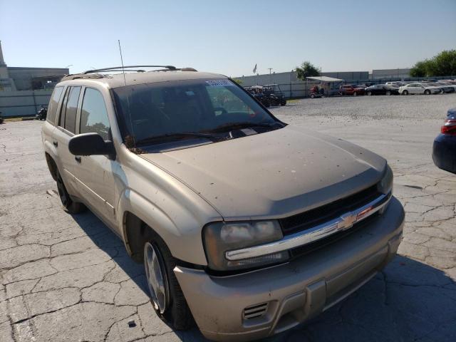 CHEVROLET TRAILBLAZE 2007 with VIN 1GNDT13S672109080 - Photo from auction