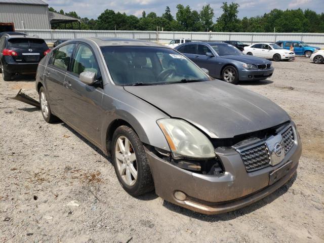 NISSAN MAXIMA SE 2006 with VIN 1N4BA41E46C861492 - Photo from auction