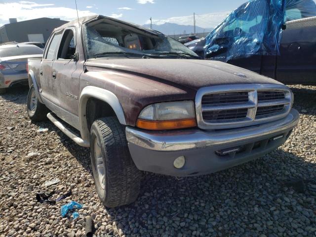 DODGE DAKOTA QUA 2001 with VIN 1B7HG2AN21S244582 - Photo from auction