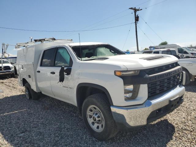CHEVROLET SILVERADO 2020 with VIN 1GB4YSE79LF221243 - Photo from auction