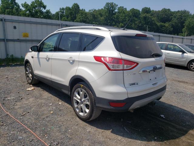 Photo 3 from auction – 2014 FORD ESCAPE TIT with VIN 1FMCU9J97EUC04566