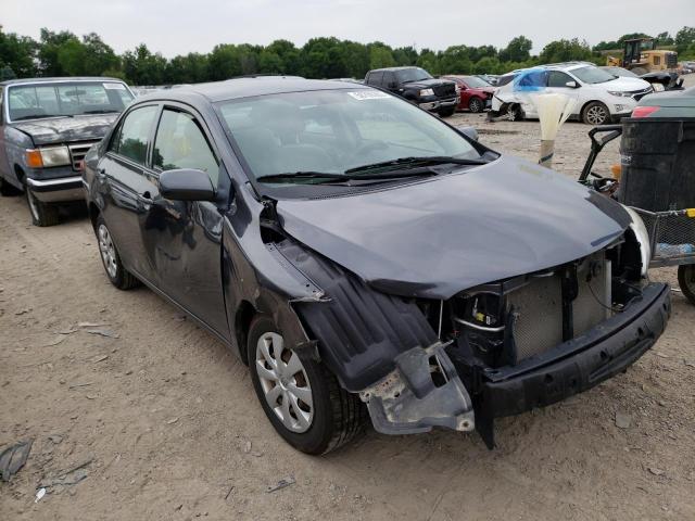 TOYOTA COROLLA BA 2009 with VIN 2T1BU40E19C162223 - Photo from auction