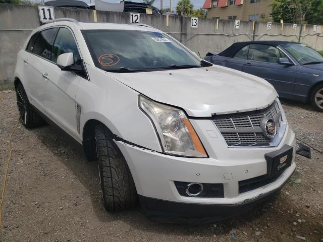 CADILLAC SRX PERFOR 2011 with VIN 3GYFNBEY8BS523441 - Photo from auction