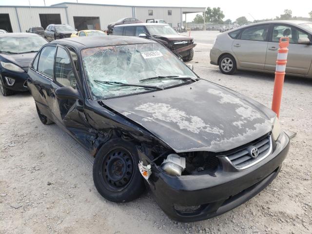 TOYOTA COROLLA CE 2001 with VIN 1NXBR12E01Z437791 - Photo from auction