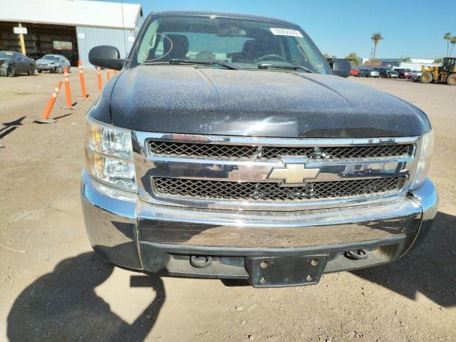 Photo 10 from auction – 2010 CHEVROLET SILVERADO with VIN 1GCSCPEX9AZ104062