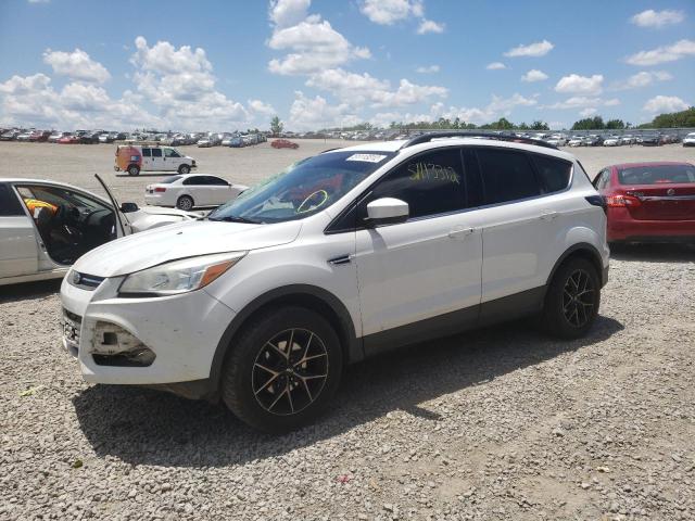 Photo 2 from auction – 2014 FORD ESCAPE SE with VIN 1FMCU0GX2EUB76435