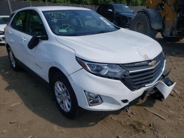 CHEVROLET EQUINOX LS 2019 with VIN 2GNAXSEV9K6112426 - Photo from auction