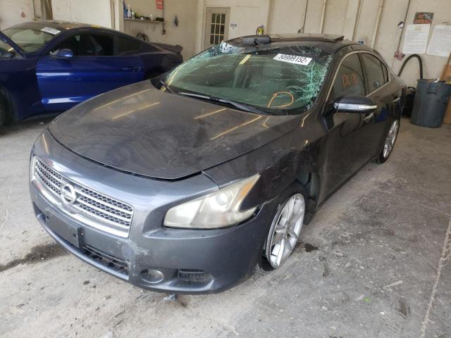 Photo 2 from auction – 2009 NISSAN MAXIMA S with VIN 1N4AA51E79C820344