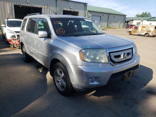 HONDA PILOT EX 2010 with VIN 5FNYF4H48AB038420 - Photo from auction
