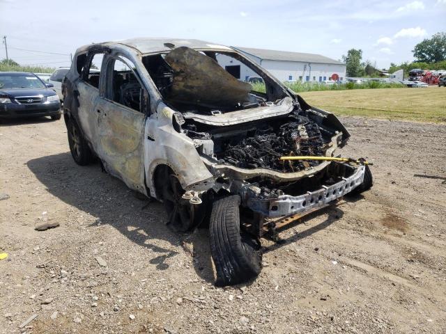 FORD ESCAPE SE 2016 with VIN 1FMCU9GX8GUA73494 - Photo from auction