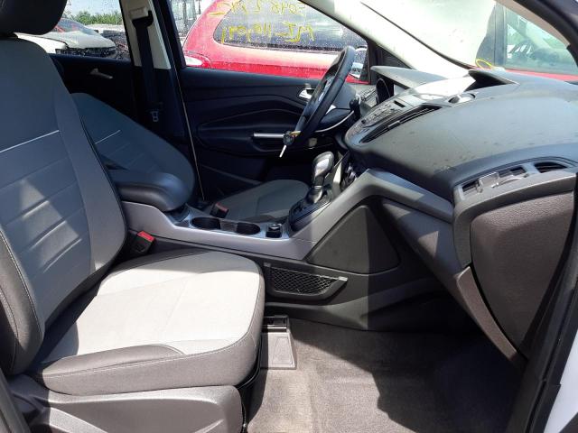 Photo 5 from auction – 2014 FORD ESCAPE SE with VIN 1FMCU0GX0EUE14007