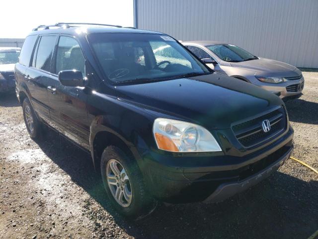 HONDA PILOT EX 2004 with VIN 2HKYF18434H522239 - Photo from auction