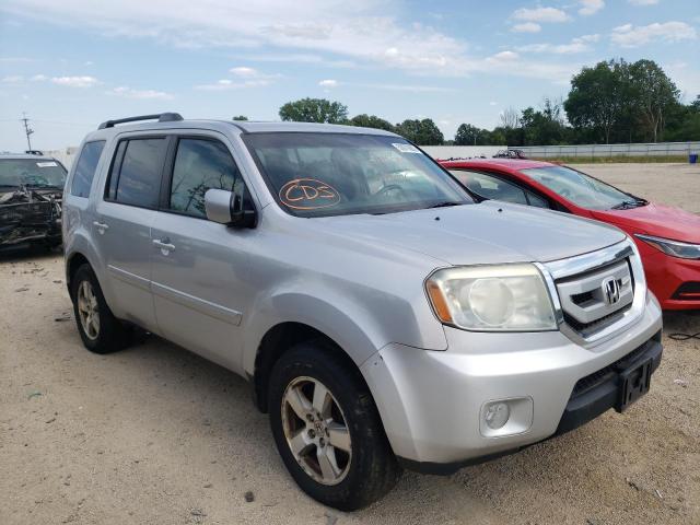 HONDA PILOT EXL 2010 with VIN 5FNYF4H51AB031897 - Photo from auction