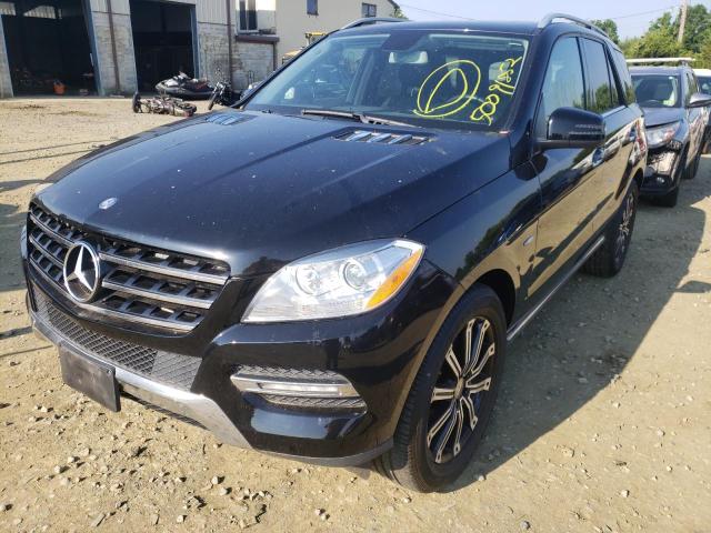 Photo 2 from auction – 2012 MERCEDES-BENZ ML 350 BLU with VIN 4JGDA2EBXCA031352