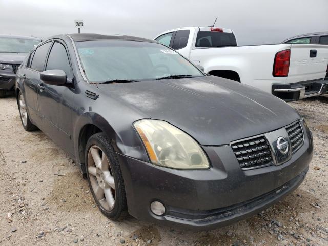 NISSAN MAXIMA SE 2004 with VIN 1N4BA41E04C891747 - Photo from auction