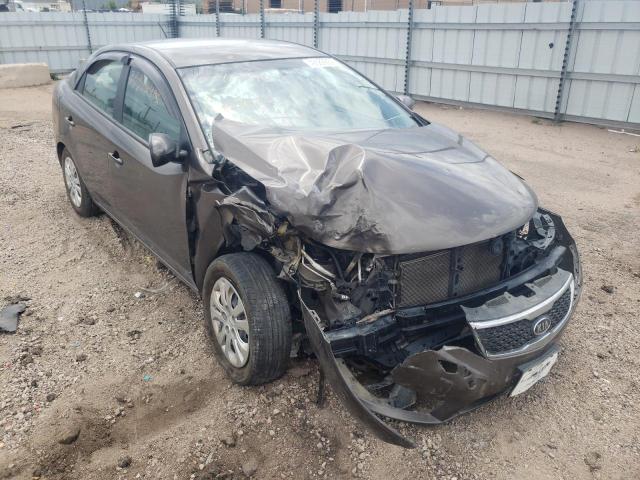 KIA FORTE EX 2013 with VIN KNAFU4A20D5728445 - Photo from auction
