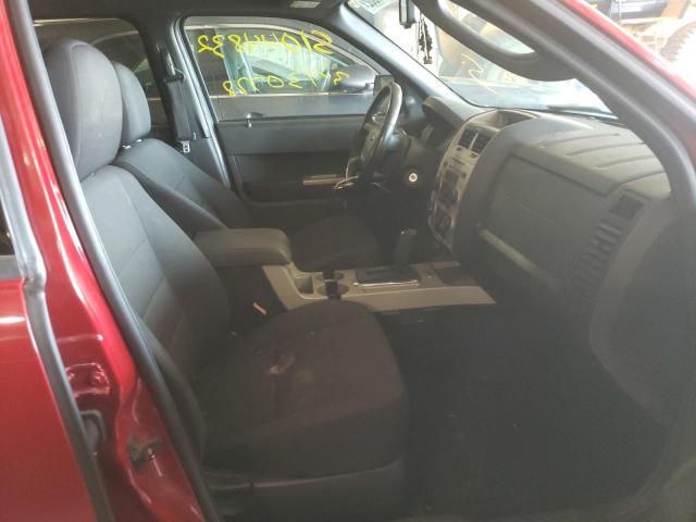 Photo 5 from auction – 2010 FORD ESCAPE XLT with VIN 1FMCU0D78AKA54561