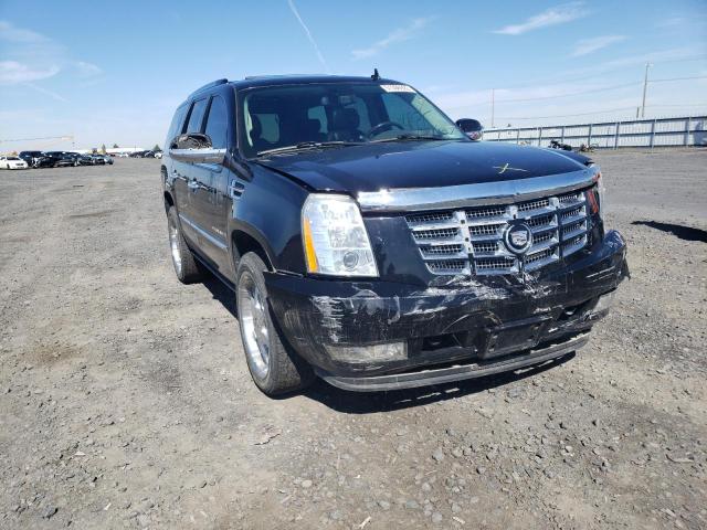 CADILLAC ESCALADE L 2009 with VIN 1GYFK23249R233184 - Photo from auction