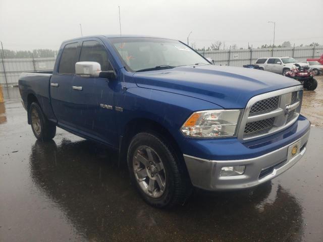 DODGE RAM 1500 2009 with VIN 1D3HV18T29S756110 - Photo from auction