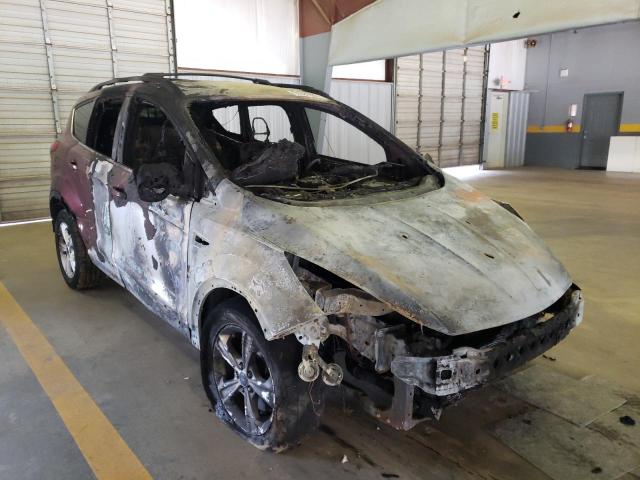 Photo 1 from auction – 2014 FORD ESCAPE SE with VIN 1FMCU9GX8EUA53887