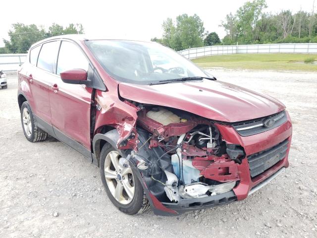 FORD ESCAPE SE 2014 with VIN 1FMCU9G9XEUA15871 - Photo from auction