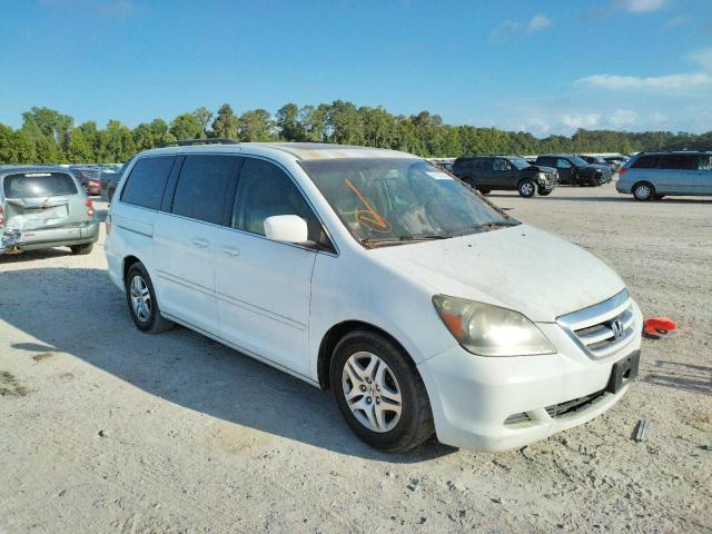 HONDA ODYSSEY EX 2007 with VIN 5FNRL38767B145217 - Photo from auction