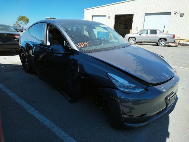 TESLA MODEL Y 2021 with VIN 5YJYGDEE7MF219250 - Photo from auction