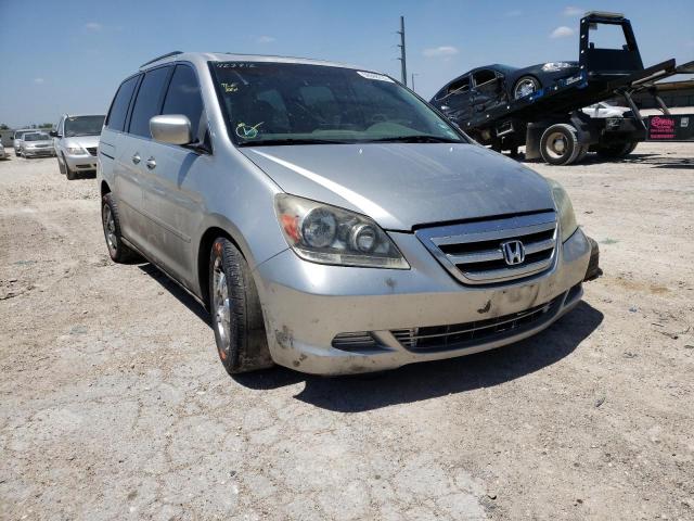 HONDA ODYSSEY EX 2005 with VIN 5FNRL38695B423712 - Photo from auction