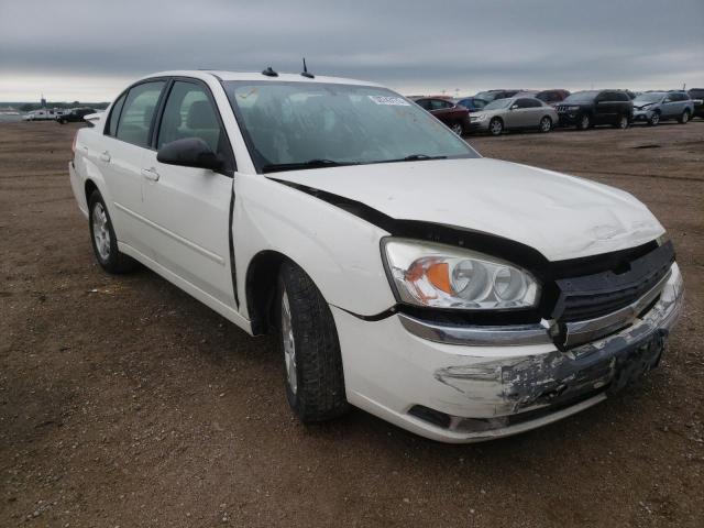 CHEVROLET MALIBU LT 2004 with VIN 1G1ZU54834F112165 - Photo from auction