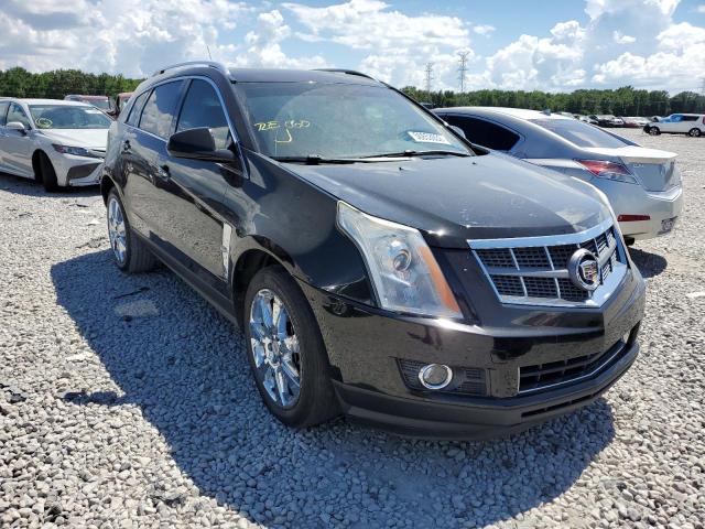 CADILLAC SRX PREMIU 2011 with VIN 3GYFNFEY4BS597236 - Photo from auction