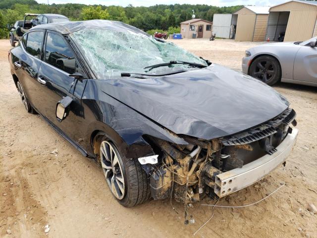 NISSAN MAXIMA 3.5 2017 with VIN 1N4AA6AP2HC403901 - Photo from auction
