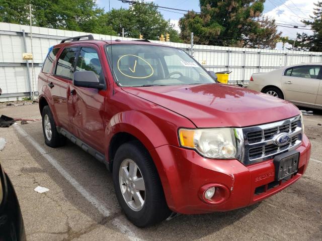 FORD ESCAPE XLT 2010 with VIN 1FMCU0D71AKD12189 - Photo from auction