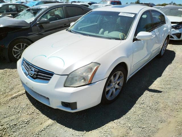 صورة رقم 2 من المزاد - 2008 NISSAN MAXIMA SE مع VIN 1N4BA41E38C823559
