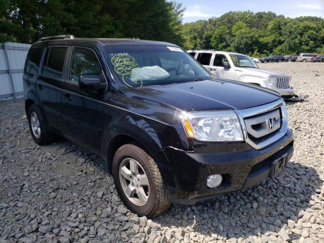 HONDA PILOT EX 2011 with VIN 5FNYF4H45BB037520 - Photo from auction