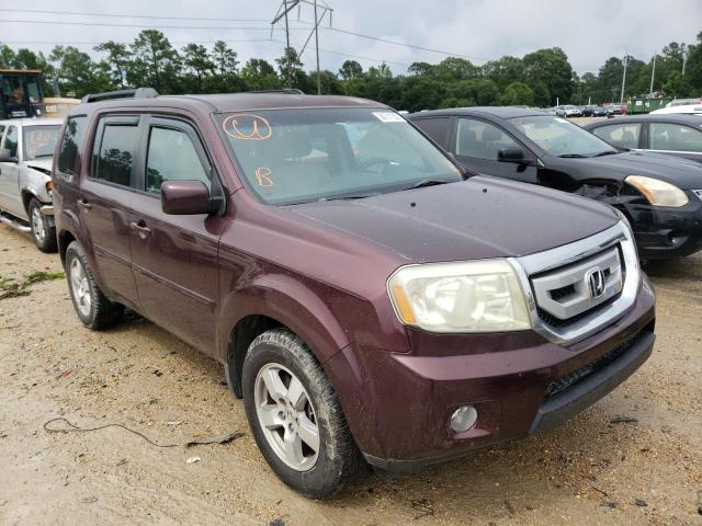 HONDA PILOT EX 2011 with VIN 5FNYF3H46BB012863 - Photo from auction