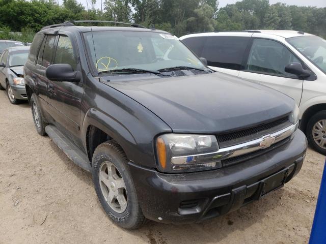 CHEVROLET TRAILBLAZE 2006 with VIN 1GNDT13S762145861 - Photo from auction