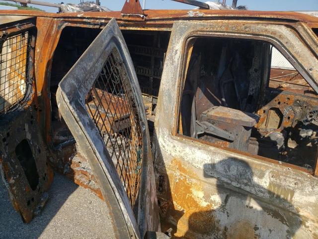 Photo 9 from auction – 2012 FORD ECONOLINE with VIN 1FDSS3EL6CDA27137